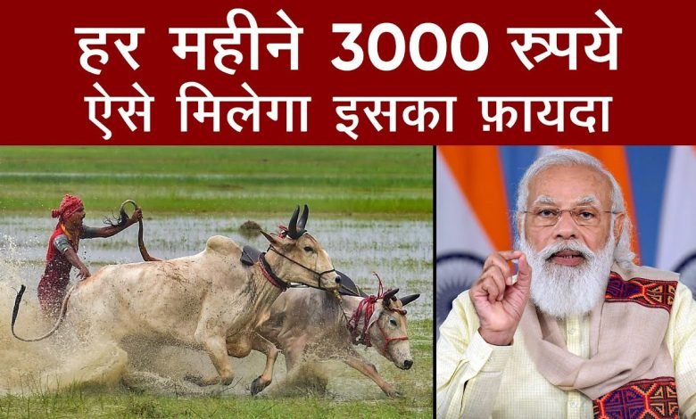 PM Kisan Mandhan Yojana केंद्र सरकार ने किसानों की लगाई लॉटरी! दे रही मंथली 3000 रुपये की पेंशन, जाने डिटेल्स 1 PM Kisan Mandhan Yojana केंद्र सरकार ने किसानों की लगाई लॉटरी! दे रही मंथली 3000 रुपये की पेंशन, जाने डिटेल्स