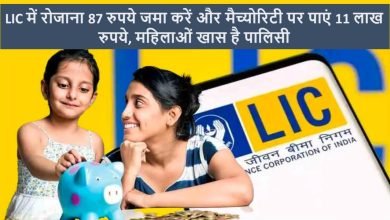 LIC की इस पॉलिसी ने मचाई धूम! महिलाओं की चमकी किस्मत, सिर्फ 87 रुपये निवेश में लाखों रुपये रिटर्न