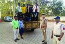 1200c5c7 3bf2 4b9c 82fd 29fbe3173a0f