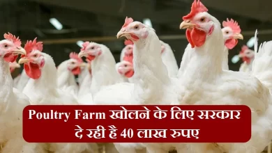 Poultry Farm
