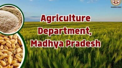 काम की खबर : जिन कृषकों का बायोमेट्रिक सत्यापन संभव नहीं , उनका जिला आपूर्ति कार्यालय में होगा पंजीयन 8 Screenshot 2024 03 01 17 44 47 706 com.miui .gallery 1