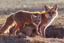 Screenshot 2024 03 06 10 56 08 942 com.whatsapp