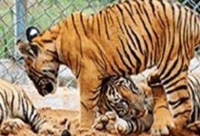 Screenshot 2024 03 10 11 27 41 028 com.android.chrome