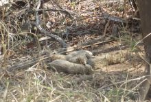 Screenshot 2024 03 10 20 03 26 587 com.ak .ta .dainikbhaskar.activity