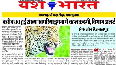 Screenshot 2024 03 20 15 37 08 351 com.whatsapp