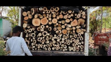 वन माफियाओं पर सीधी कार्रवाई : 25 क्विंटल लकड़ियों को वन विभाग ने किया जप्त, कर रहे थे अवैध परिवहन 6 Screenshot 2024 03 21 09 27 53 701 com.whatsapp