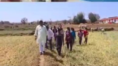 Screenshot 2024 03 21 20 32 31 425 com.whatsapp