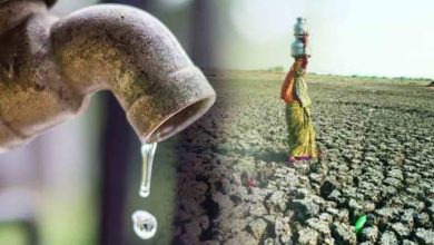 Screenshot 2024 03 29 11 01 16 797 com.miui .gallery