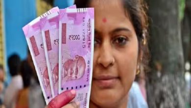 New Swarnima Loan Scheme आत्मनिर्भर बनाने आई सरकार की स्कीम! महिलाओं को मिलेगा 3 लाख तक बंपर लोन, ऐसे करे आवेदन