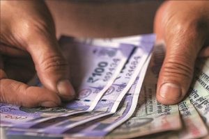 WhatsApp Image 2024 03 19 at 12.29.33 PM