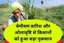 images 2024 03 17T220531.849