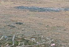 घर में पथराव के बाद लगा दी आग 10 000000