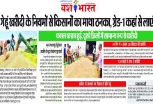 गेहूं खरीदी के नियमों से किसानों का माथा ठनका, ग्रेड-1 गेहूं कहां से लाएं 11 123