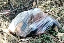 Screenshot 2024 04 11 18 00 05 569 com.whatsapp