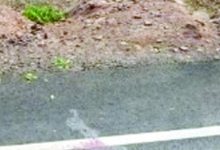 Screenshot 2024 04 14 13 23 54 060 com.whatsapp