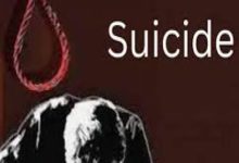 Screenshot 2024 04 18 13 27 52 898 com.miui .gallery