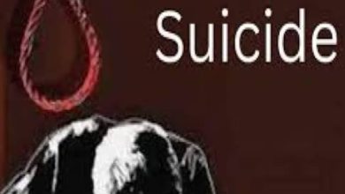 Screenshot 2024 04 18 13 27 52 898 com.miui .gallery