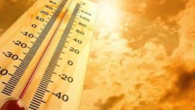 Screenshot 2024 04 20 10 59 42 112 com.miui .gallery