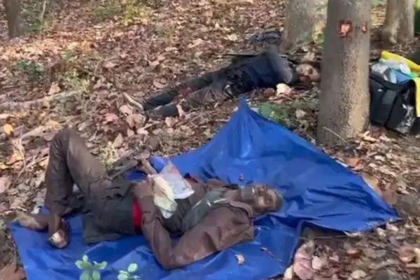 बालाघाट में 29 और 14 लाख के इनामी नक्सली ढेर:एमपी-छत्तीसगढ़ की सीमा पर पुलिस से मुठभेड़; एके- 47 और 12 बोर की राइफल बरामद 1 Untitled design