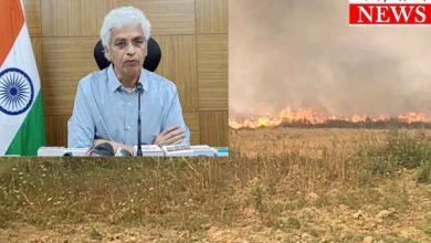 खेतों में नरवाई जलाने वाले किसान हो जाएं सतर्क : कलेक्टर ने सख्त कार्रवाई के लिए अधिकारियों को दिए निर्देश 13 neeraj 9