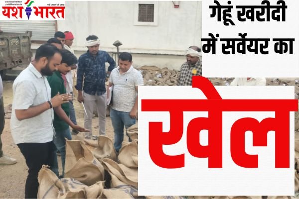 गेहूं खरीदी में सर्वेयर का खेल, कई गोदाम पूरे भरे तो बहुतों में एक दाना नहीं पहुंचा 1 Add a heading 19 1