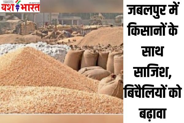 गेहूं खरीदी में जबलपुर के किसानों के साथ साजिश, नियम इतने कड़े कि बिचैलियों के आगे नतमस्तक अन्नदाता 1 Add a heading 21