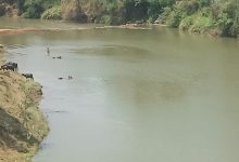 Screenshot 2024 05 01 08 48 17 39 6012fa4d4ddec268fc5c7112cbb265e7