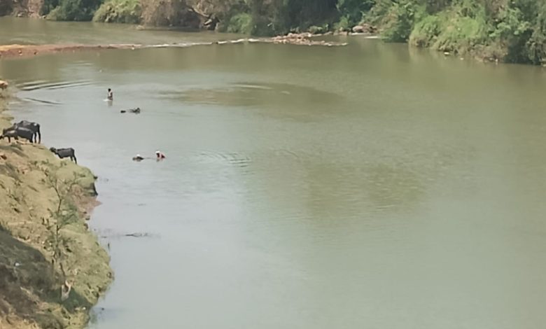 Screenshot 2024 05 01 08 48 17 39 6012fa4d4ddec268fc5c7112cbb265e7