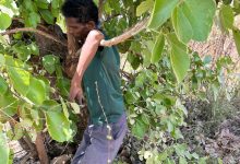 Screenshot 2024 05 01 19 52 31 103 com.whatsapp