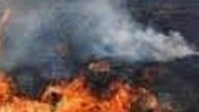 नरवाई जलाना कृषकों को पड़ा महंगा: नरवाई जलाने वाले 27 कृषकों पर हुई अर्थदण्ड की कार्यवाही 9 Screenshot 2024 05 03 17 49 42 860 com.whatsapp