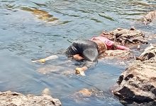 Screenshot 2024 05 06 16 13 21 43 6012fa4d4ddec268fc5c7112cbb265e7