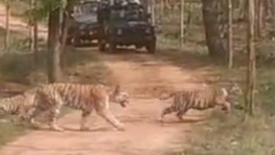 Screenshot 2024 05 14 17 02 53 703 com.whatsapp