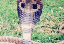 Screenshot 2024 05 15 14 00 10 628 com.miui .gallery