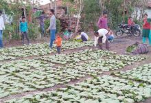 Screenshot 2024 05 17 12 44 33 742 com.whatsapp