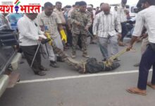 गांव में मगरमच्छ के आ जाने से हड़कंप, घंटों मशक्कत के बाद मिली सफलता 10 Add a heading 10