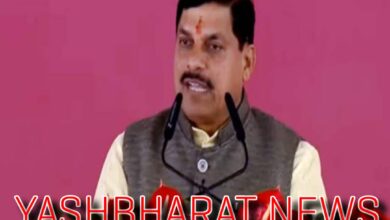 Screenshot 2024 05 28 12 22 02 949 com.miui .gallery