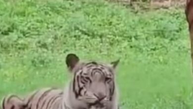 Screenshot 2024 06 30 12 47 04 152 com.whatsapp