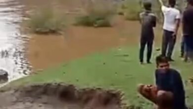 Screenshot 2024 06 30 22 38 45 088 com.miui .gallery