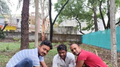 एम.पी. ट्रांसको का पौधरोपण अभियान -नरसिंहपुर जिले के सब स्टेशनों और रहवासी कालोनियों पर हुआ वृहद पौधरोपण 8 IMG 20240716 WA0035 1