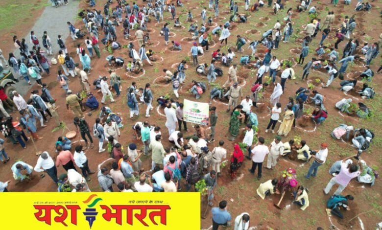 गुलवारा में अधिकारियों और जनप्रतिनिधियों ने रोपे 2500 पौधे 1 IMG 20240712 165654