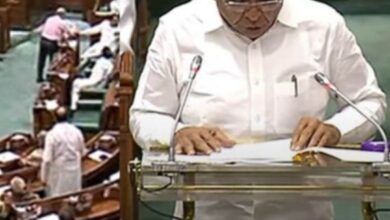 Screenshot 2024 07 03 13 13 44 405 com.miui .gallery