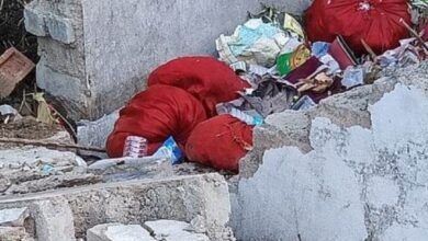 Screenshot 2024 07 07 11 18 37 414 com.whatsapp