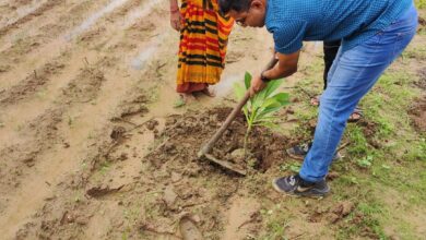 आदिवासी क्षेत्रों में हो मछली पालन और पौधारोपण तो होगा विकास..... पढ़े पूरी खबर 7 Screenshot 2024 07 07 14 08 17 017 com.whatsapp
