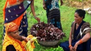 खुशियों की दास्तां - 🥬कुपोषण को मात देती सामुदायिक पोषण वाटिका, भूमिहीन महिलाओं को आत्मनिर्भर बनाने का प्रयास 7 Screenshot 2024 07 08 15 05 51 755 com.whatsapp