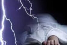 Screenshot 2024 07 09 12 11 37 004 com.miui .gallery