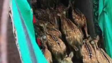 Screenshot 2024 07 09 18 36 38 213 com.whatsapp