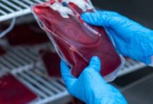 Screenshot 2024 07 13 10 33 52 100 com.whatsapp