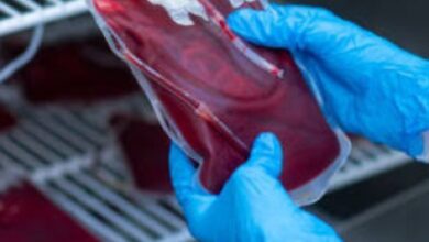 Screenshot 2024 07 13 10 33 52 100 com.whatsapp