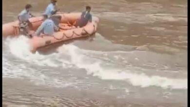 Screenshot 2024 07 13 14 27 52 113 com.whatsapp