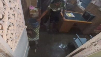 Screenshot 2024 07 13 17 27 58 750 com.whatsapp